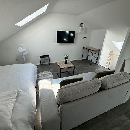 Studio Eucalyptus Charmant Elegant Et Fonctionnel Centre Ville Mulhouse Exterior foto